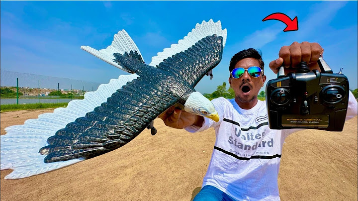 RC Flying Eagle Fastest Bird Unboxing & Testing - Chatpat toy tv