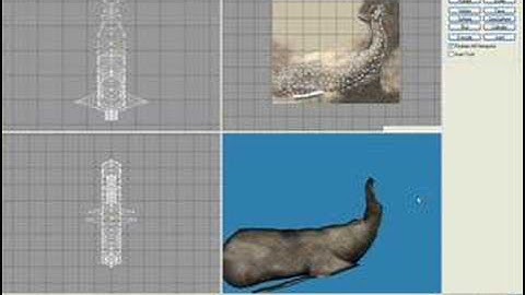 My 3D model of a whale.