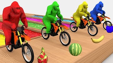 Con Khỉ 🐵Tập Đi Xe Đạp❤️ Bé Đi Chơi Công Viên🦁 Nhạc Thiếu Nhi Vui Nhộn