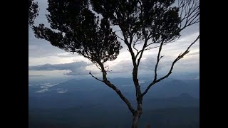 Galombang Amas , dayak kanayatn (enak untuk tidur)