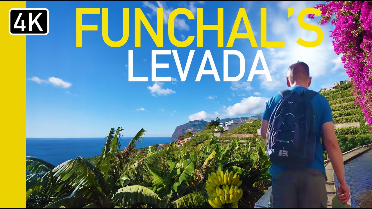 От Фуншала до Камара-де-Лобос Левада Прогулка | Мадейра, Португалия