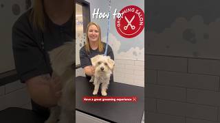 Ace your pup’s first grooming experience with tips from associate Taylor. 🛁 #PetSmartHowTo