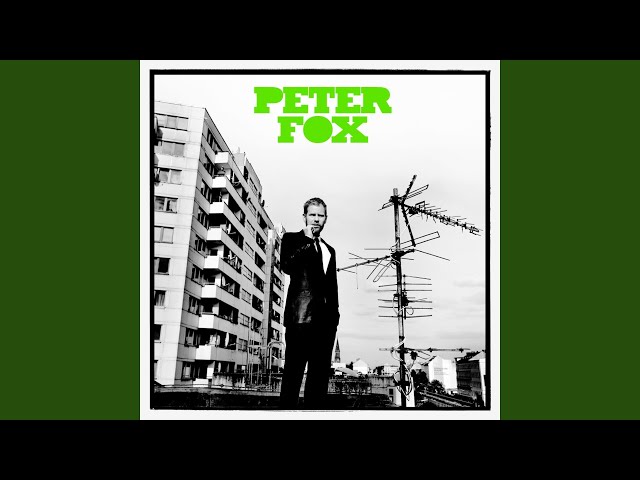 Peter Fox - Ich Steine, du Steine