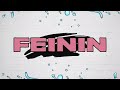 Miniature de la vidéo de la chanson Feinin