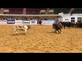 Opus Cat Olena & Clay Volmer 2018 NRCHA Derby Herd Work