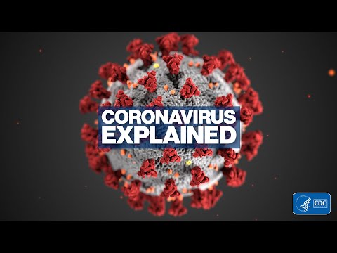 Novel Coronavirus explained l ABC News