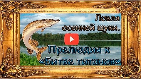 Ловля осенней щуки. "Битвы титанов". Часть 1. Прелюдия. "Clash of the Titans." Part 1 Prelude.