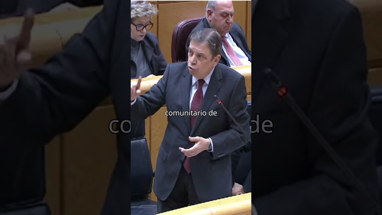 «Mercosur supone más oportunidades para nuestras exportaciones y garantías para las importaciones»