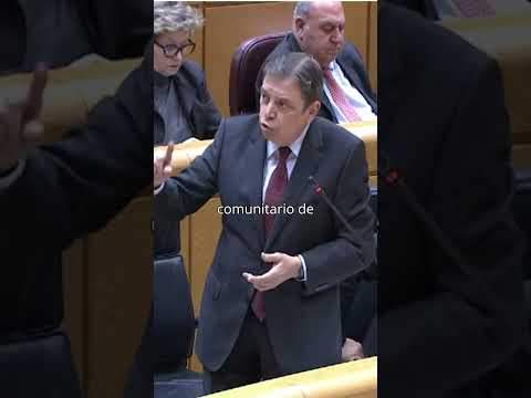 «Mercosur supone más oportunidades para nuestras exportaciones y garantías para las importaciones»