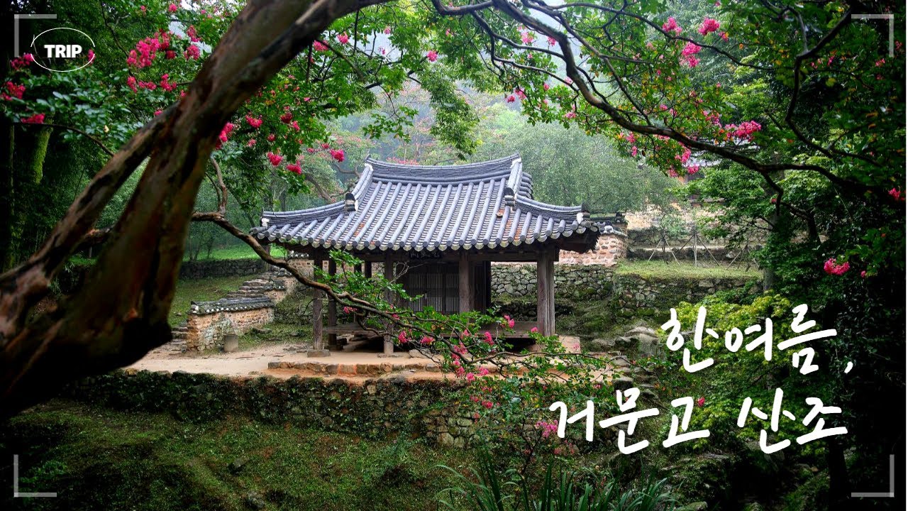 ☀한여름, 거문고 산조 (휴식/명상/힐링/자연) / Relaxing Korean Traditional Music / Geomungo Sound