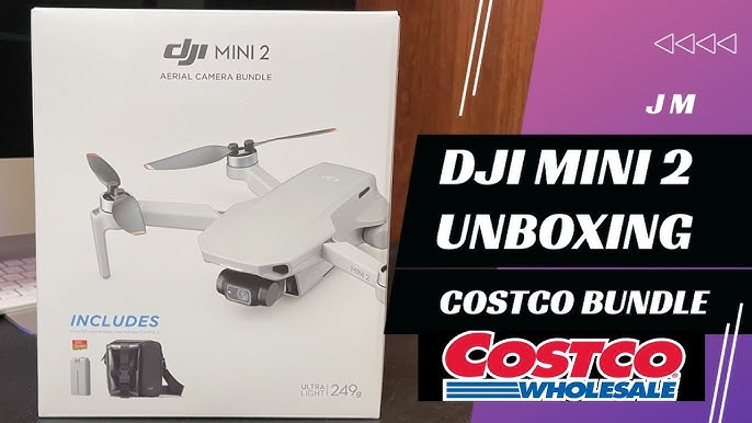 dji mini 2 fly more combo costco