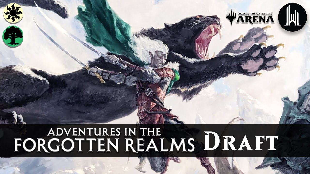 The Ultimate Guide to Adventures in the Forgotten Realms Draft