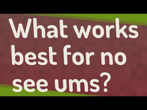 What works best for no see ums?