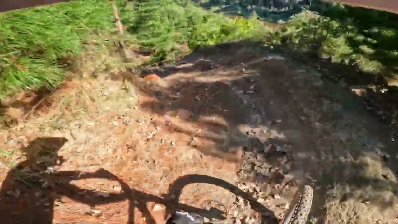 Slim Shandy @ That Place. Whanganui