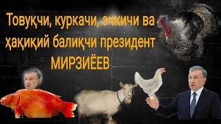 Мирзиёев халқ устидан кулаяпди...