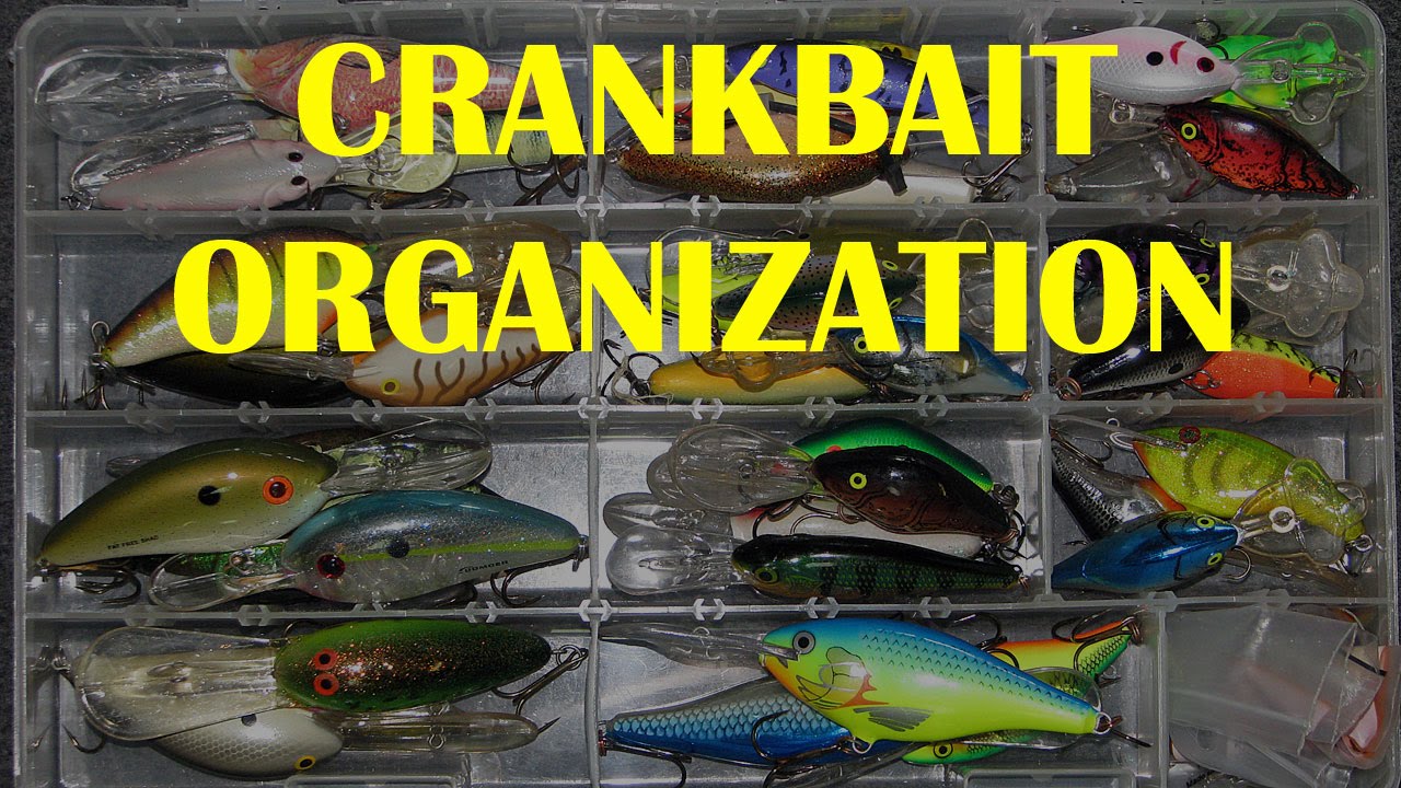 Crankbait Organization Tip  Crankbait Storage Tip 