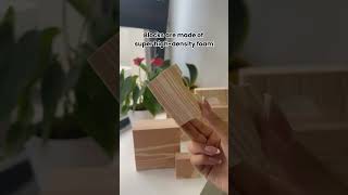 Edushape wood-like blocks