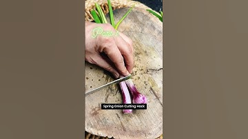How to cut spring onions part 1 … #explore #reels #howto #food #cuttingskills #animalmovie
