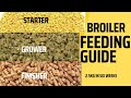 Feeding Broilers || Broiler feeding guide #poultryfarming #poultry #broiler