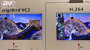 ISE 2018: DigiBird Shows DB-AVCNet AV Over IP Solution For Video Walls