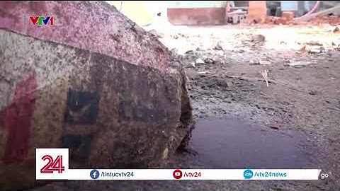 Phú Yên: Côn trùng lạ tấn công nhà dân | VTV24