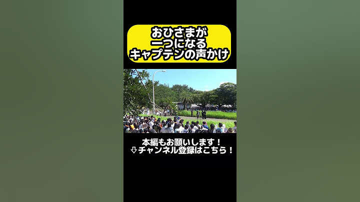 【ひなたフェス】これが日向坂46とおひさまの一体感　#shorts #日向坂46  #日向坂で会いましょう＃ひなたフェス