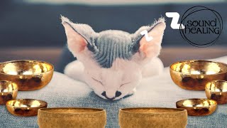 Healing Music for Cats | Cat Purring Frequency & Tibetan Bowls