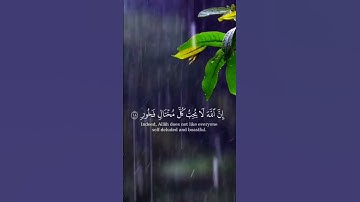 القرآن الكريم راحة نفسية ❤️ #القرآن_الكريم #المصحف #اكسبلور