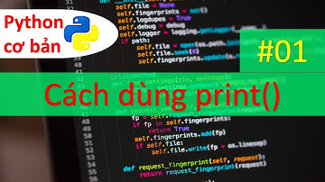 [Python cơ bản] Cách dùng hàm print()