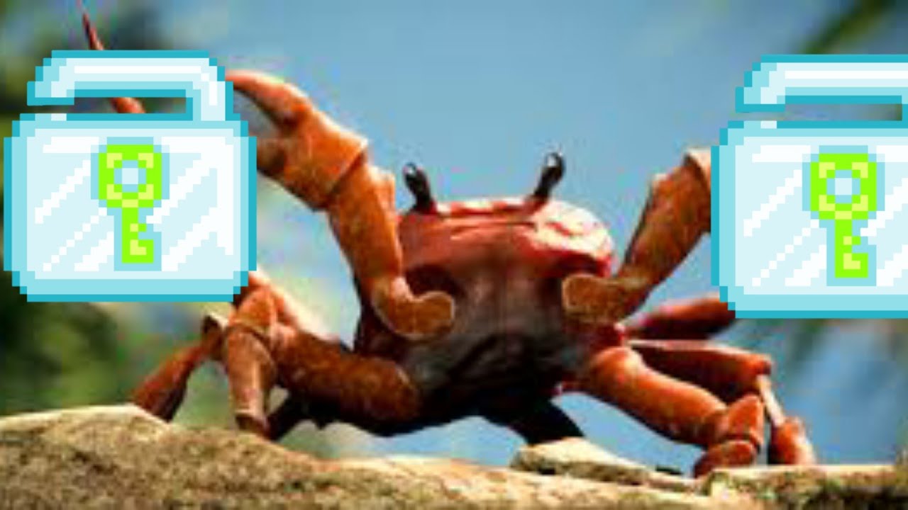 Growtopia Crab Update! YouTube