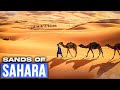 Desert Mystique: The Sands of the Sahara.