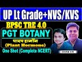 Plant Hormone || BPSC TRE-4 || UP Lt grade || NVS KVS || PGT Botany By Zayan Sir #bpsctre4 #uplt