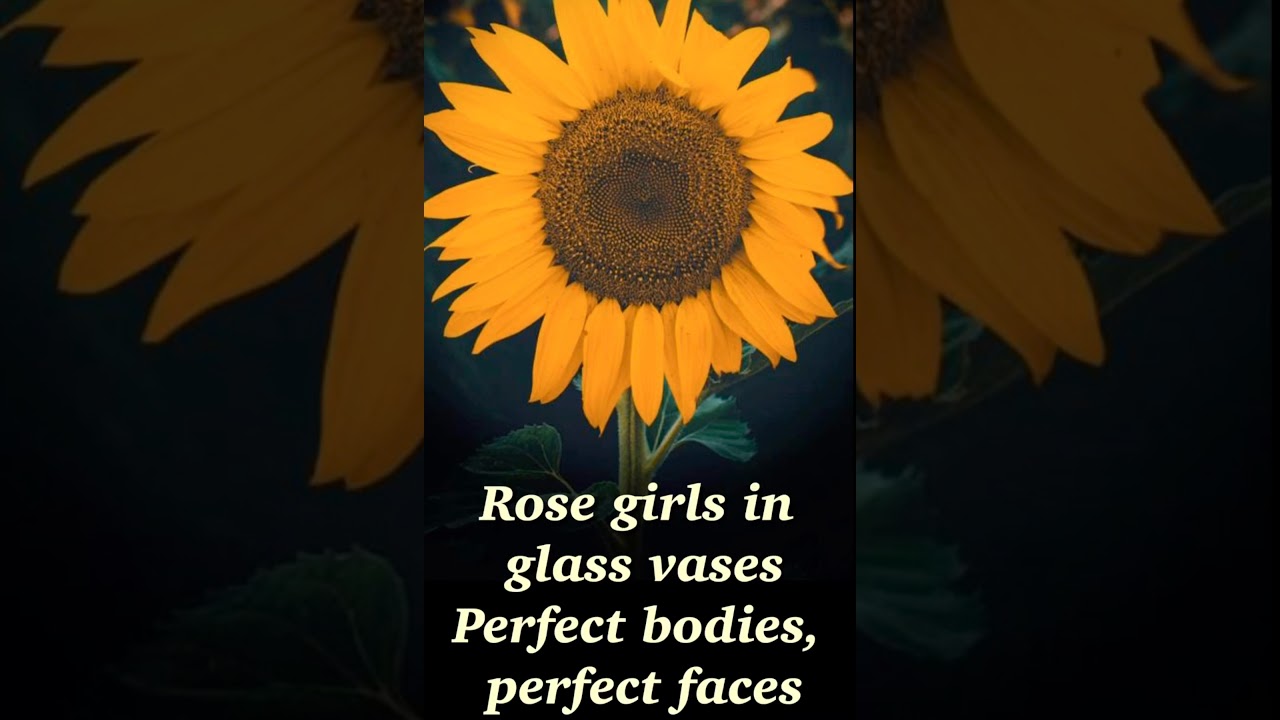 Les Tournesols Chanson Sunflower - Sierra Burgess lyrics - YouTube