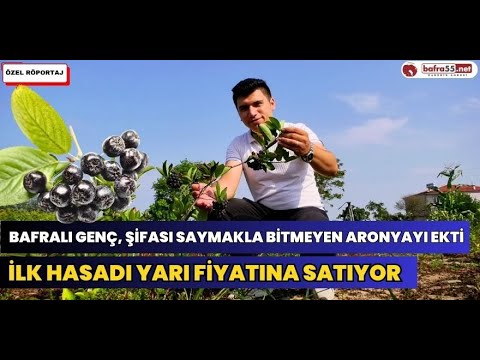 Bafra Koşu Köyü'nde