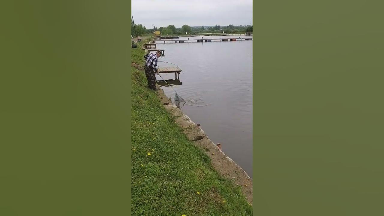 Рыбалка на карпа в Подмосковье