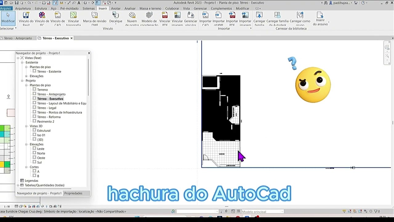 Parte 02 - Inserindo dwg no Revit