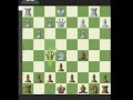 Garfo parte 23 #chess #xadrez #garfoxadrez