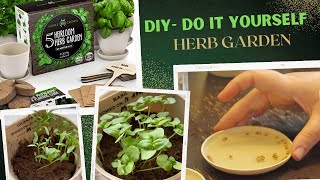 DIY - 5 Heirloom Herb Garden/ Step by Step + 2 Week results!/Melissa Welz/ Do It Yourself Gardening