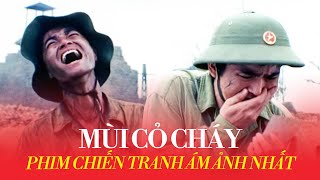 MÙI CỎ CHÁY: Chiến tranh ĐAU ĐỚN đến thế nào?