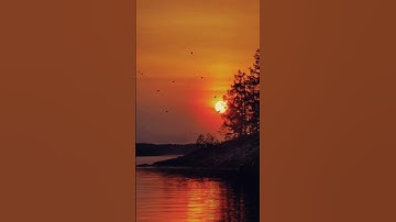 Beautiful Sunset on River Bank 🥰 #nature #shorts