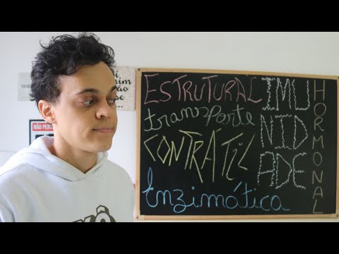 Funções das Proteínas no Organismo