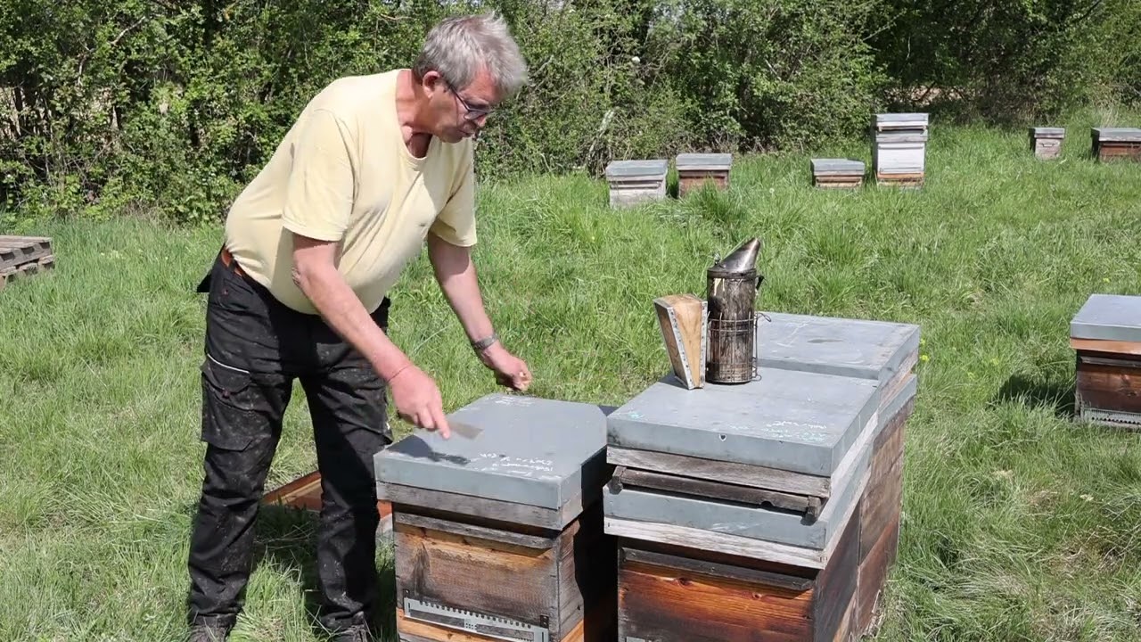 le travail dans mes ruches divisibles