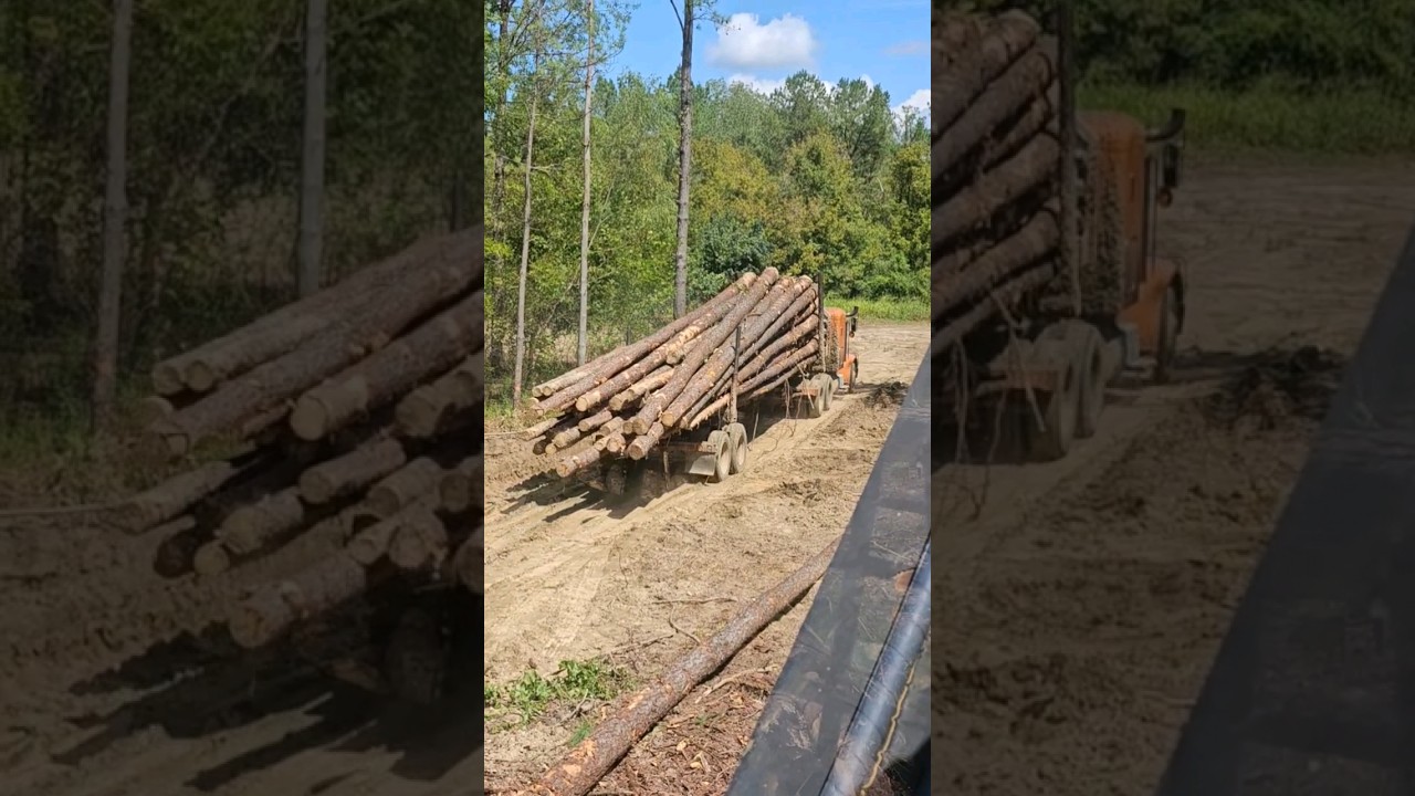 This Was A Good Tract 