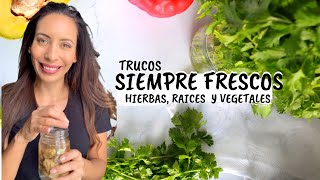 Cómo CONSERVAR EL CILANTRO , perejil |hierbas y vegetales por mas tiempo