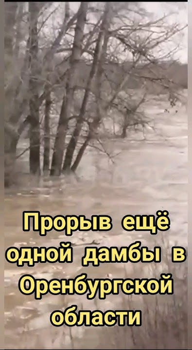 Прорыв ещё одной дамбы в Оренбургской области #наводнение #прорыв дамба ...