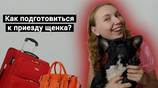 Как подготовить квартиру к приезду щенка? Список товаров