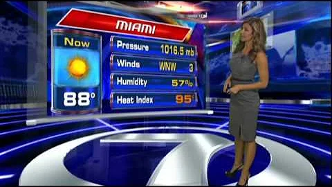 WSVN Weather Julie Durda cute Grey Skirt Miami Fort Lauderdale