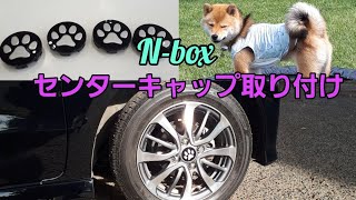 愛犬 アクセサリ 肉球 センター キャップ 取り付けに挑戦！ - YouTube