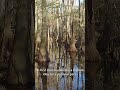 A National Park With No Scenic Drives