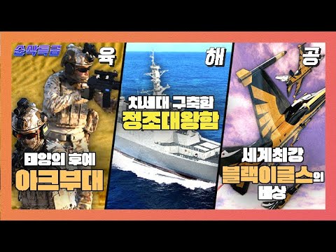 태양의 후예 실사판, 아크부대 20진★신의 방패 차세대 이지스 구축함 드디어 등판!♣세계 최강의 퍼포먼스 블랙이글스 영국 접수하러 간단▶순삭특급SSTG-41